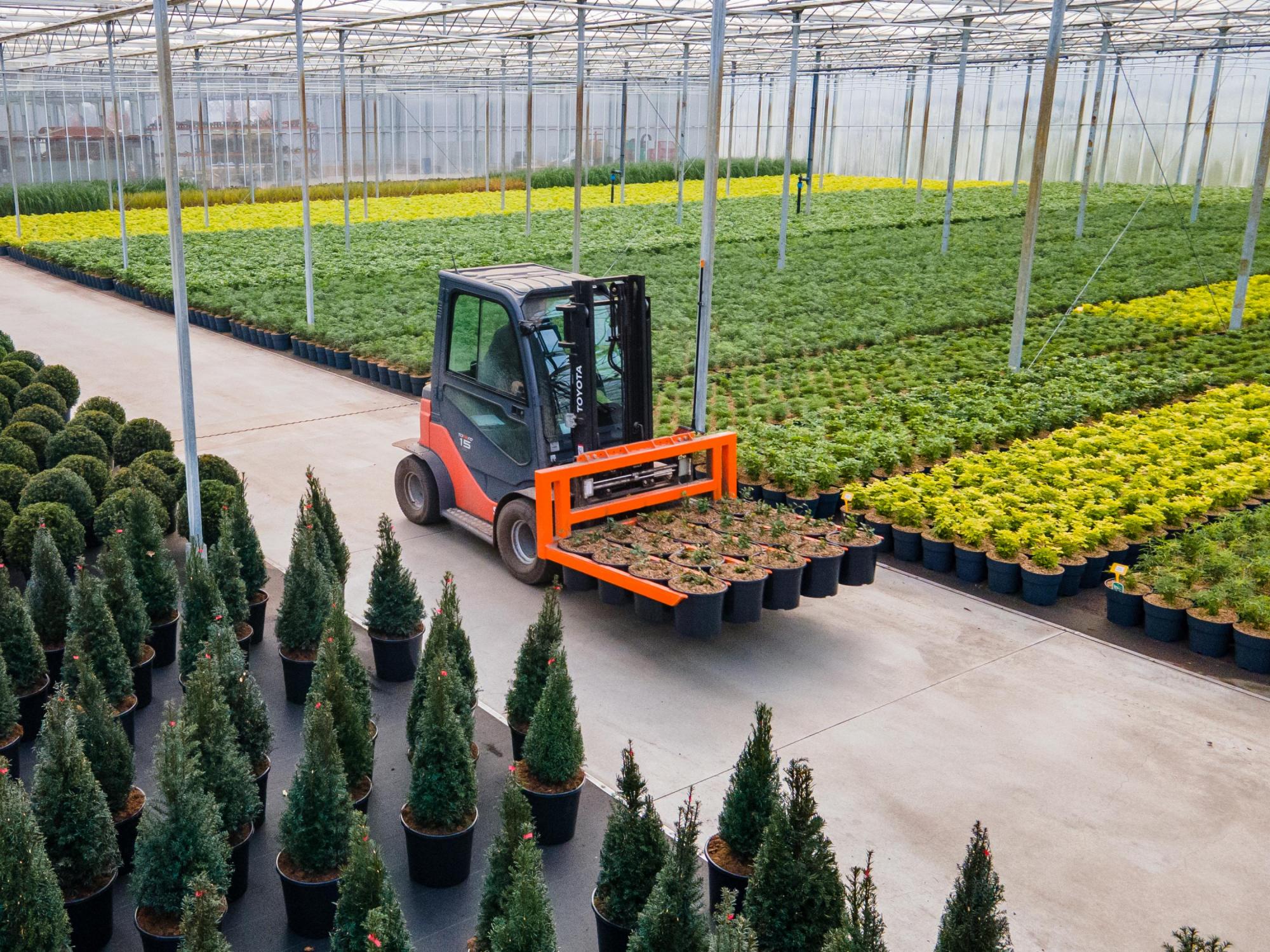 Eurotree Green for Life
