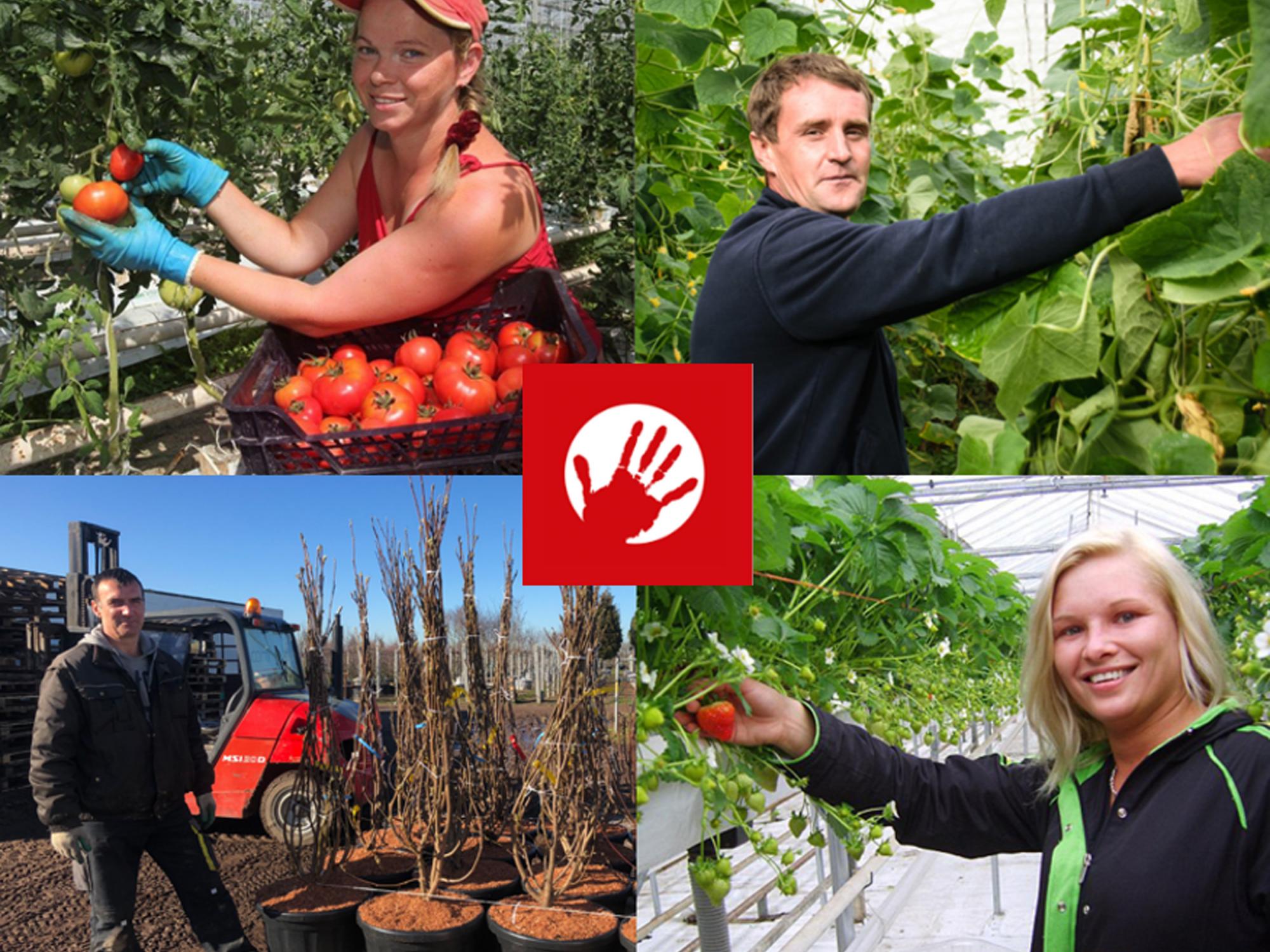 Uitzendgroep Sun-Power B.V.