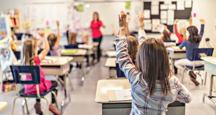 Onderwijs