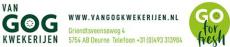 Van Gog Kwekerijen
